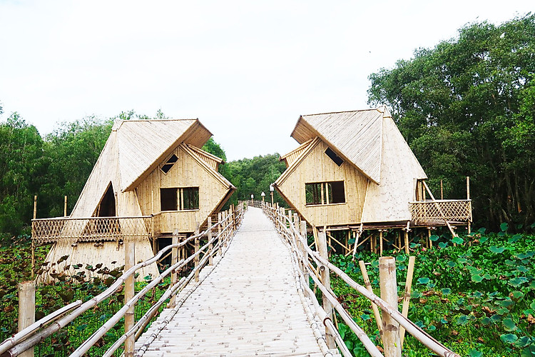Check in cây cầu tre xuyên rừng dài nhất Việt Nam - tour du lịch miền tây 4 ngày 3 đêm