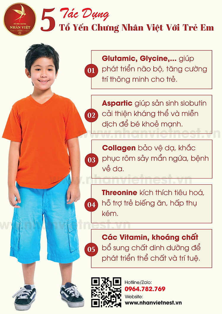 TỔ YẾN CHƯNG NHÂN VIỆT