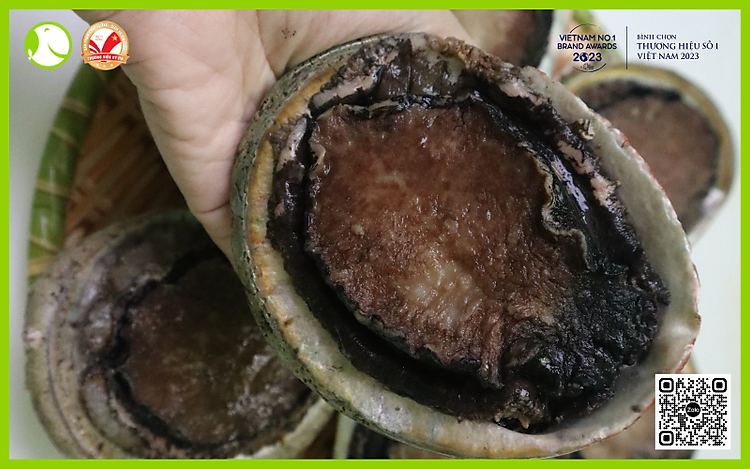 Bào Ngư Úc Viền Đen