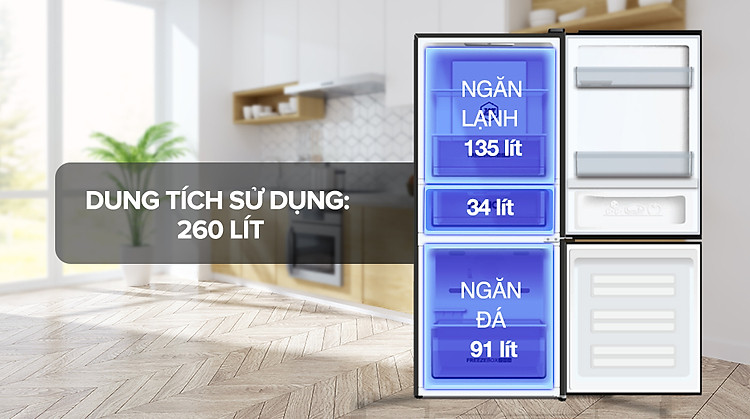 Tủ lạnh Aqua Inverter 260 Lít AQR-B306MA(HB) - Dung tích