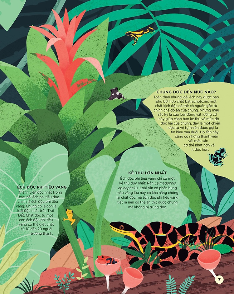 sach-bach-khoa-tri-thuc-danh-cho-tre-em-cac-sinh-vat-cuc-doc-tren-trai-dat-6.jpg