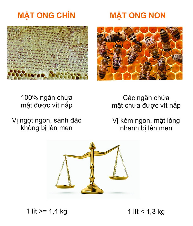 Phan biệt mật ong chín và mật ong non