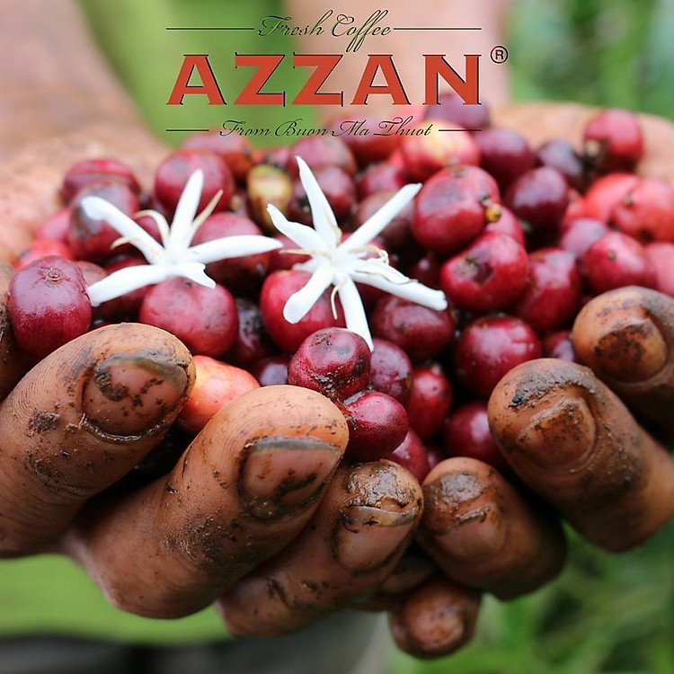 azzan blend arabica & robusta 250g- cà phê đặc sản 1