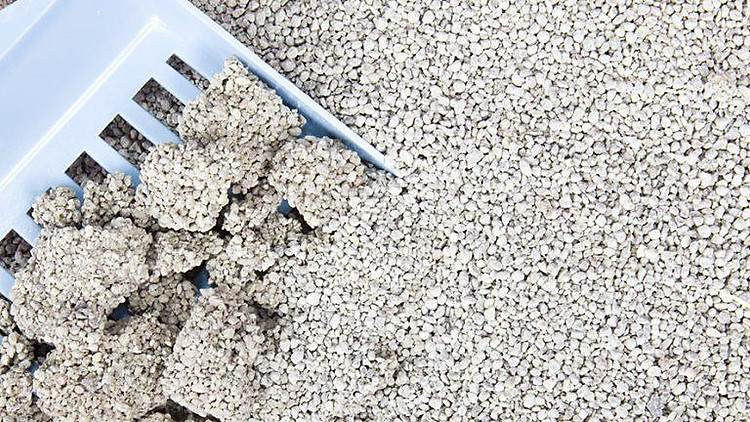Káº¿t quáº£ hÃ¬nh áº£nh cho cÃ¡t vá» sinh genki cafe