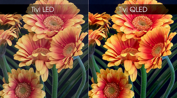 Smart Tivi QLED Samsung 4K 55 inch QA55Q65R - Màn hình chấm lượng tử QLED