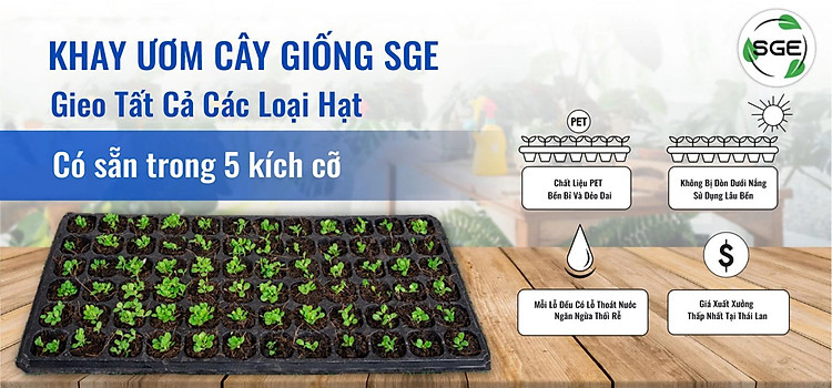 Khay Gieo Hạt/ Khay Ươm Cây Giống GT. Cho Năng Suất Cao, Cây Nhanh Lớn, Cây Con Khỏe, Dễ Sinh Trưởng. Thương Hiệu SGE