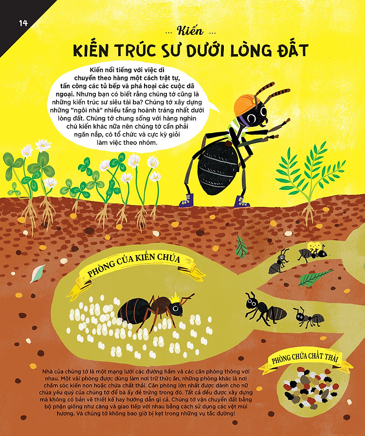 dong-vat-co-tam-anh-huong-hang-muc-xay-dung-nguon-cam-hung-cho-nhung-cong-trinh-kien-truc-cua-loai-nguoi-9.jpg