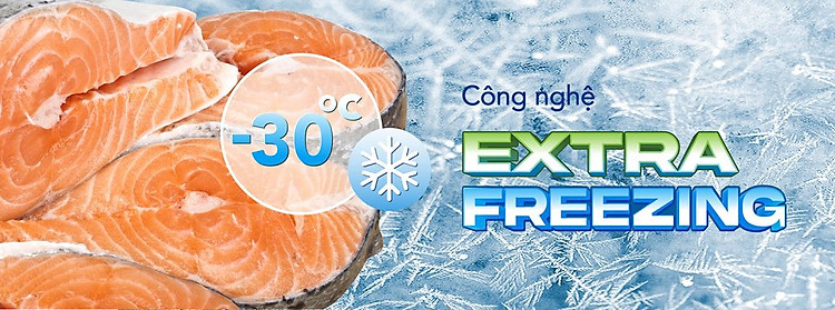 Tủ đông Hòa Phát HPF AD8252 lạnh sâu -30oC