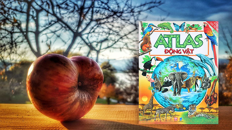 Atlas cho trẻ em: Atlas động vật
