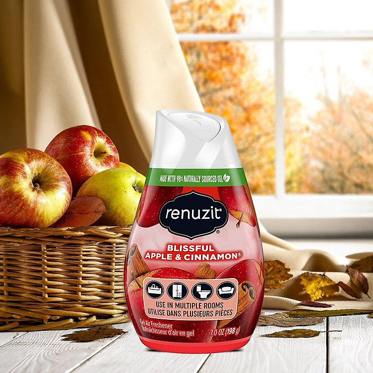 Renuzit Air Freshener Blissful Apple And Cinnamon