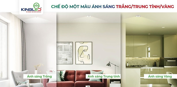 Đèn âm trần mặt cong đơn sắc cao cấp