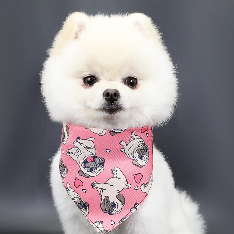 He1c3347a5b944039acfe3e51de1ecb53o.jpg?800&800&hash=1600