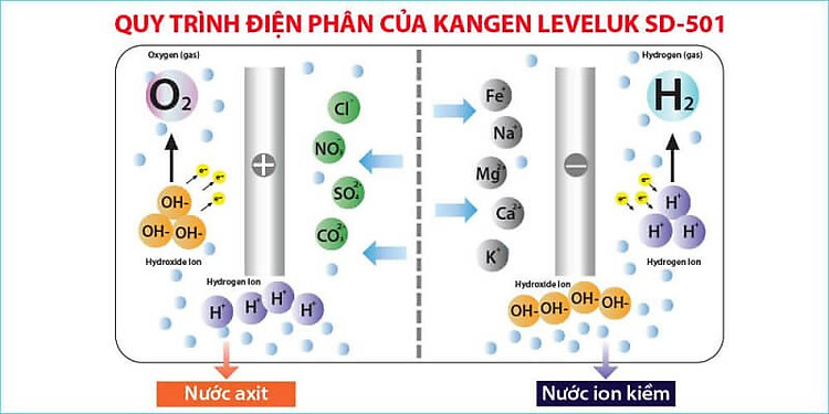 Máy Lọc Nước Ion Kiềm Kangen LeveLuk SD501 kim long phát