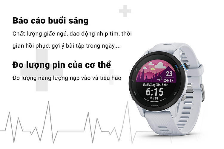 Garmin Forerunner 255 Music - Báo cáo buổi sáng