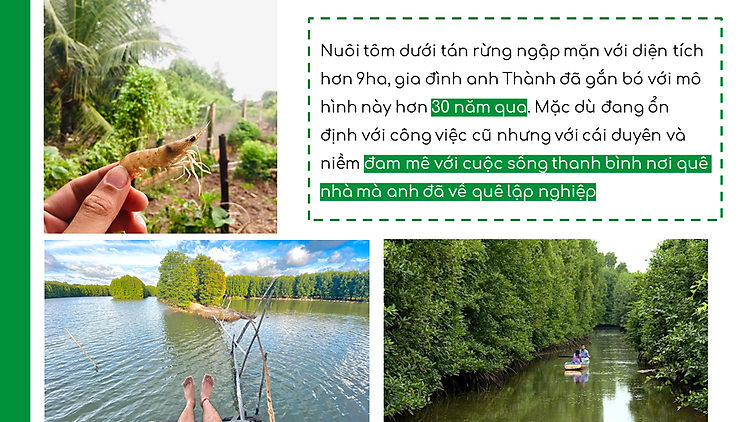 Tôm Sú Ngủ Đôngin Rừng Ngập Mặn Cà Mau Con Tôm Rừng Loại II - Hộp 175gr - Foodmap