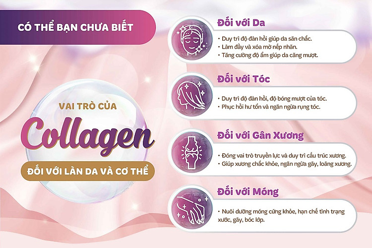Nước uống làm đẹp da S Select Collagen Drink (Hộp 10 lọ) - 2