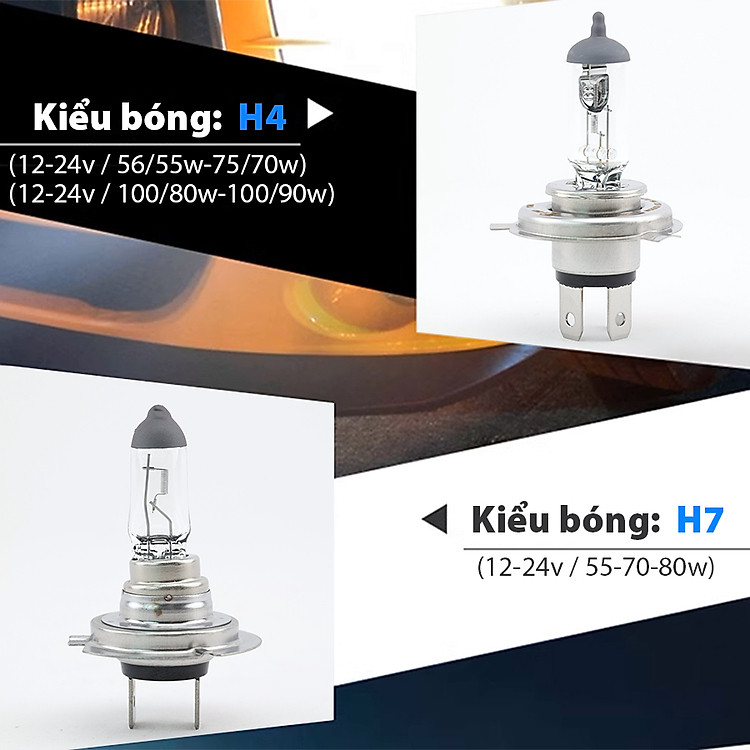 nd-bong-den-halogen-neolux-h1-12v-24v-6.jpg?v=1701071392328