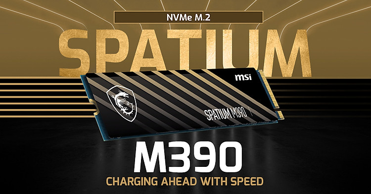 Ổ cứng SSD MSI SPATIUM M390