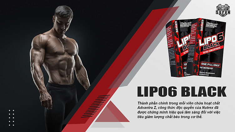 lipo6-black-dot-mo-hieu-qua-cao-nutrex