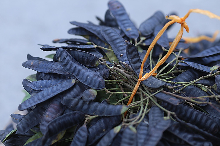 dầu gội trị rụng tóc hiệu quả