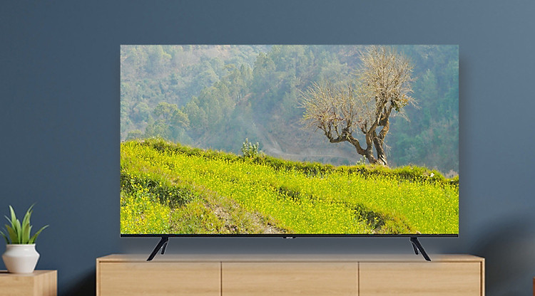 Smart Tivi Samsung 4K 55 inch UA55TU8100