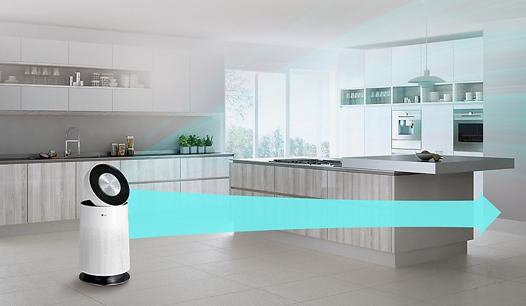 Máy lọc không khí LG PuriCare AS65GDWH0 - Bộ đẩy khí sạch