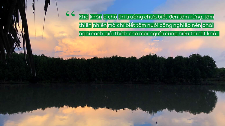 Tôm Sú Ngủ Đôngin Rừng Ngập Mặn Cà Mau Con Tôm Rừng Loại II - Hộp 175gr - Foodmap