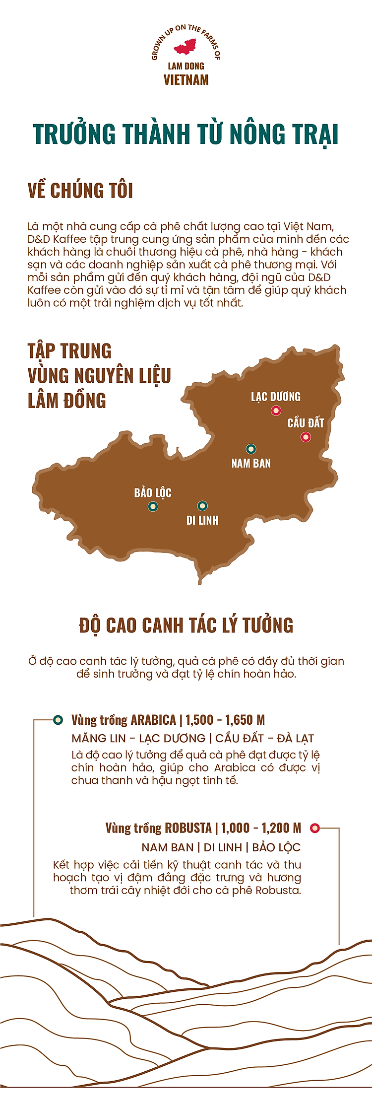 cà phê arabica blend, cà phê nguyên chất 100% rang mộc, gói 250gr, d&d kaffee 2