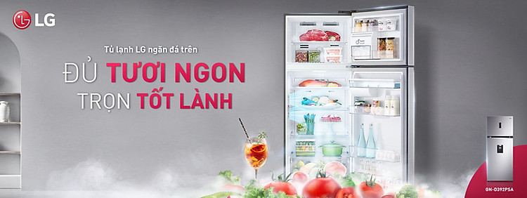 Tủ lạnh LG Inverter 394 lít GN-D392PSA