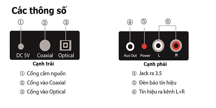 Các cổng trên bộ chuyển đổi âm thanh