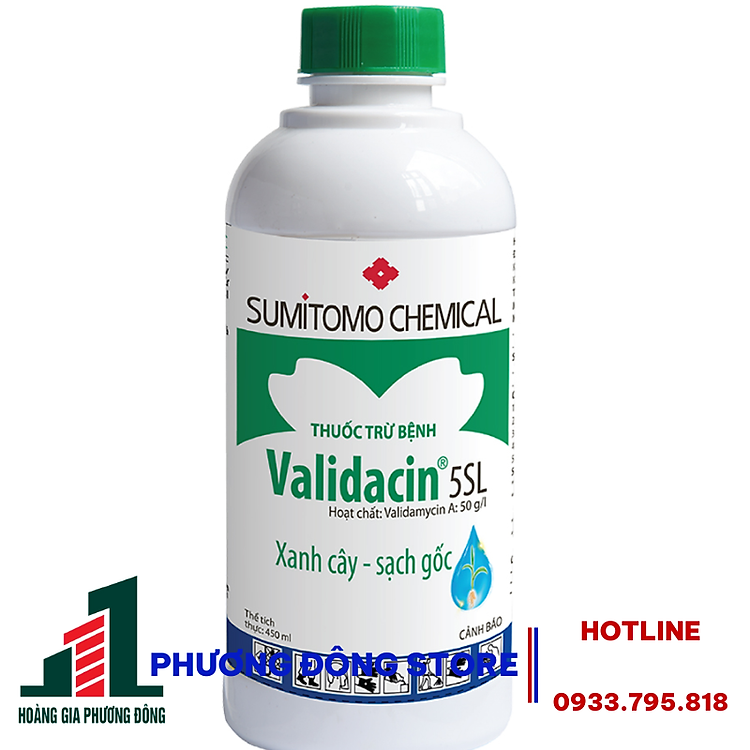 validacin