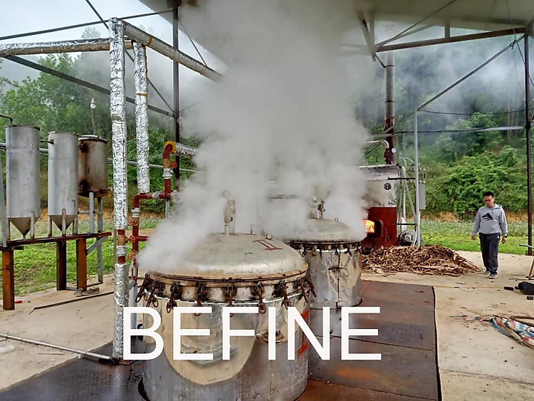 Xưởng sản xuất tinh dầu quế thô Befine 