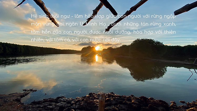 Tôm Sú Ngủ Đôngin Rừng Ngập Mặn Cà Mau Con Tôm Rừng Loại II - Hộp 175gr - Foodmap