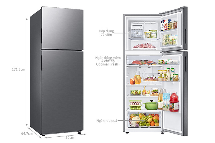 kích thước Tủ lạnh Samsung Inverter 305 lít RT31CG5424S9SV