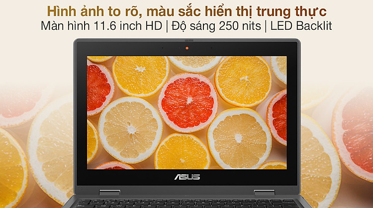 Asus BR1100FKA N6000 (BP0660T) - Màn hình