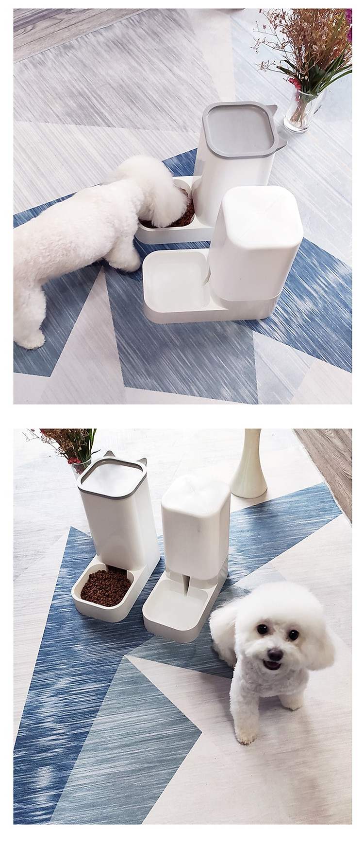 12344270067_2033437765