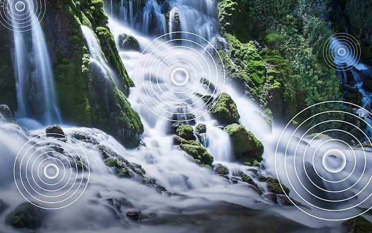 Dolby Audio tái tạo âm thanh vòm trên tivi TCL 4K 55 inch 55P638