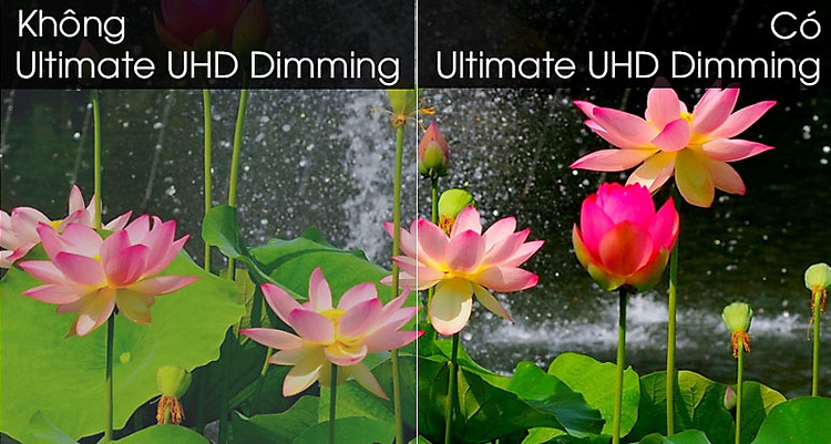 Smart Tivi QLED Samsung 4K 55 inch QA55Q95T - Ultimate UHD Dimming