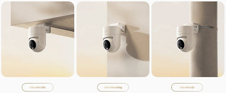 16-e30f1054-14f0-4171-8d7a-3409cd7bc16b.jpg?v=1711533077076