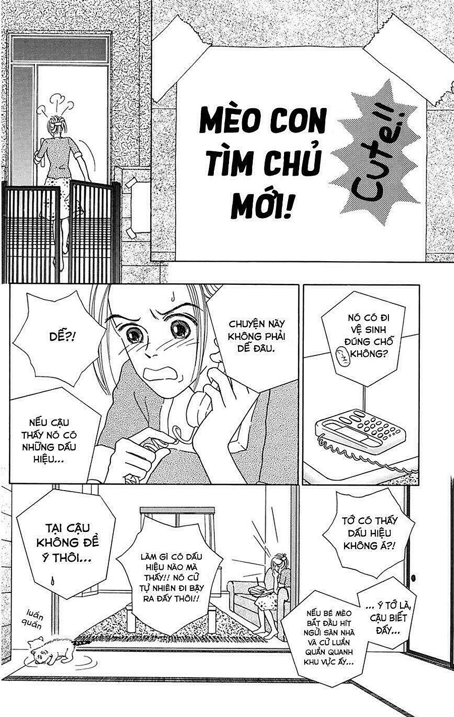 Cuộc Sống Thường Nhật Của Mèo Zaccho Chapter 2 - Trang 13