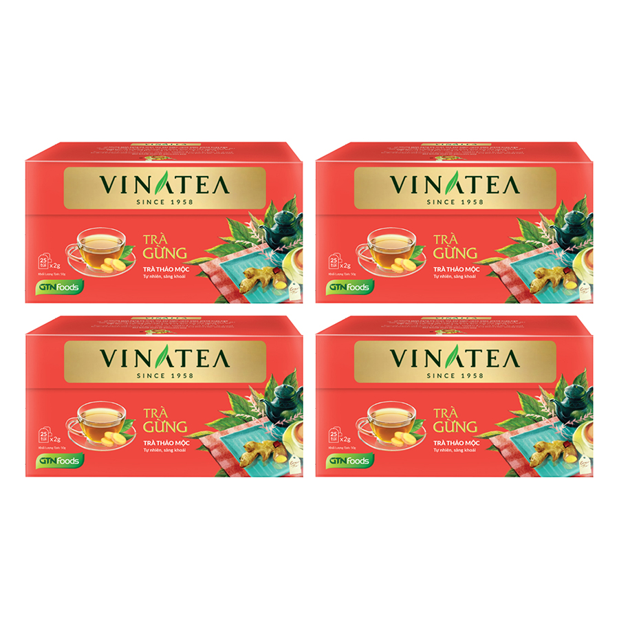 1983757 , 3727550674594 , 62_657294 , 136000 , Combo-4-Tra-Tui-Loc-Vinatea-Gung-50g--Hop-62_657294 , tiki.vn , Combo 4 Trà Túi Lọc Vinatea Gừng (50g / Hộp) Combo 4 Trà Túi Lọc Vinatea Gừng (50g / Hộp)
