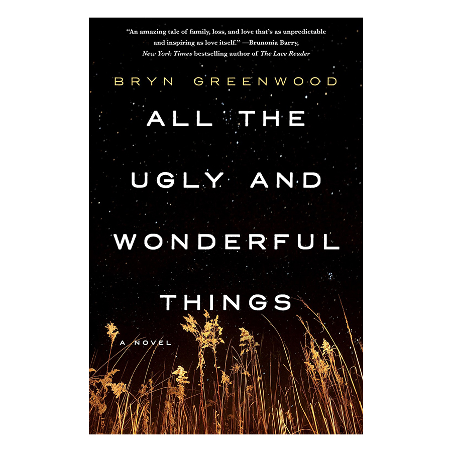 All The Ugly And Wonderful Things: A Novel