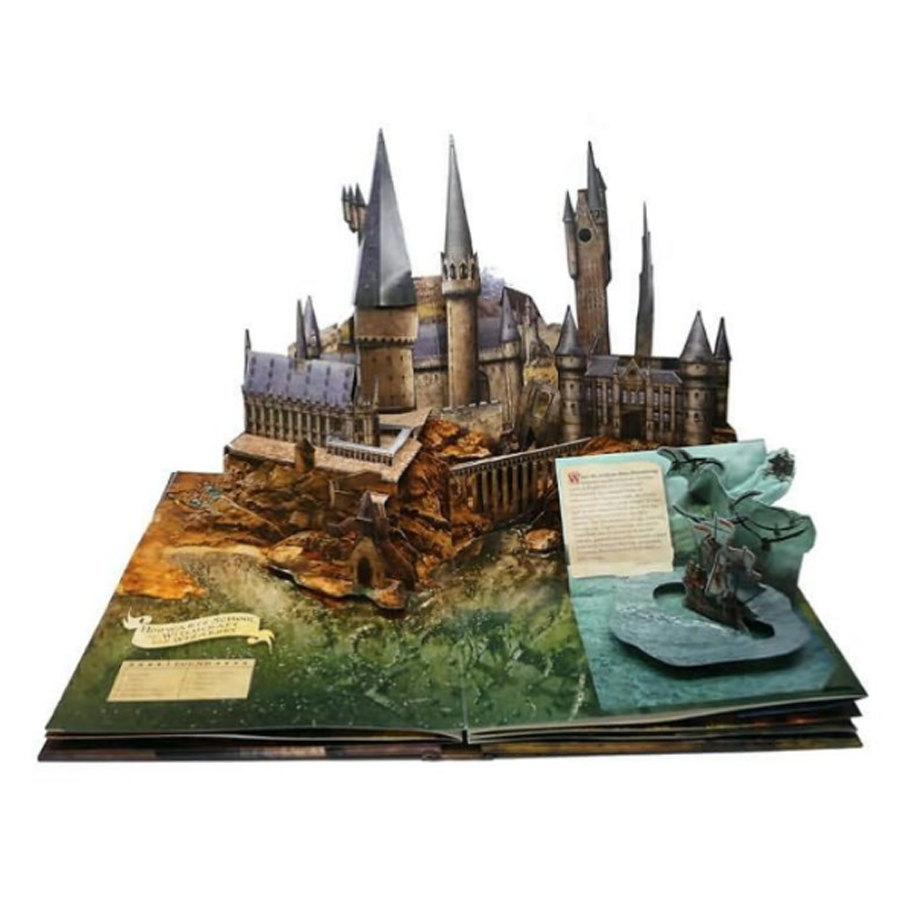 Harry Potter: A Pop-Up Book: Based On The Film Phenomenon (Bản Thông Thường) (English Book)