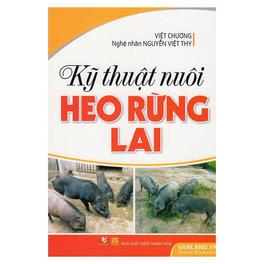 Kỹ Thuật Nuôi Heo Rừng Lai