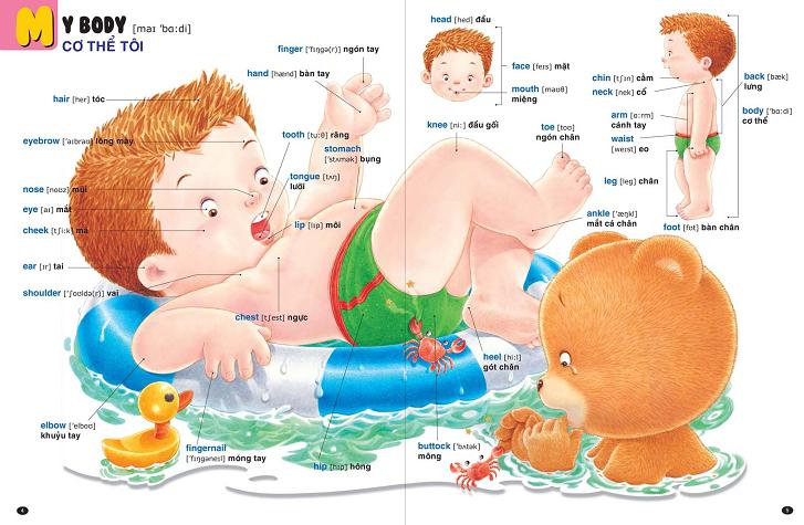 Bé Làm Quen Với Tiếng Anh - Gấu Bogie Học Từ