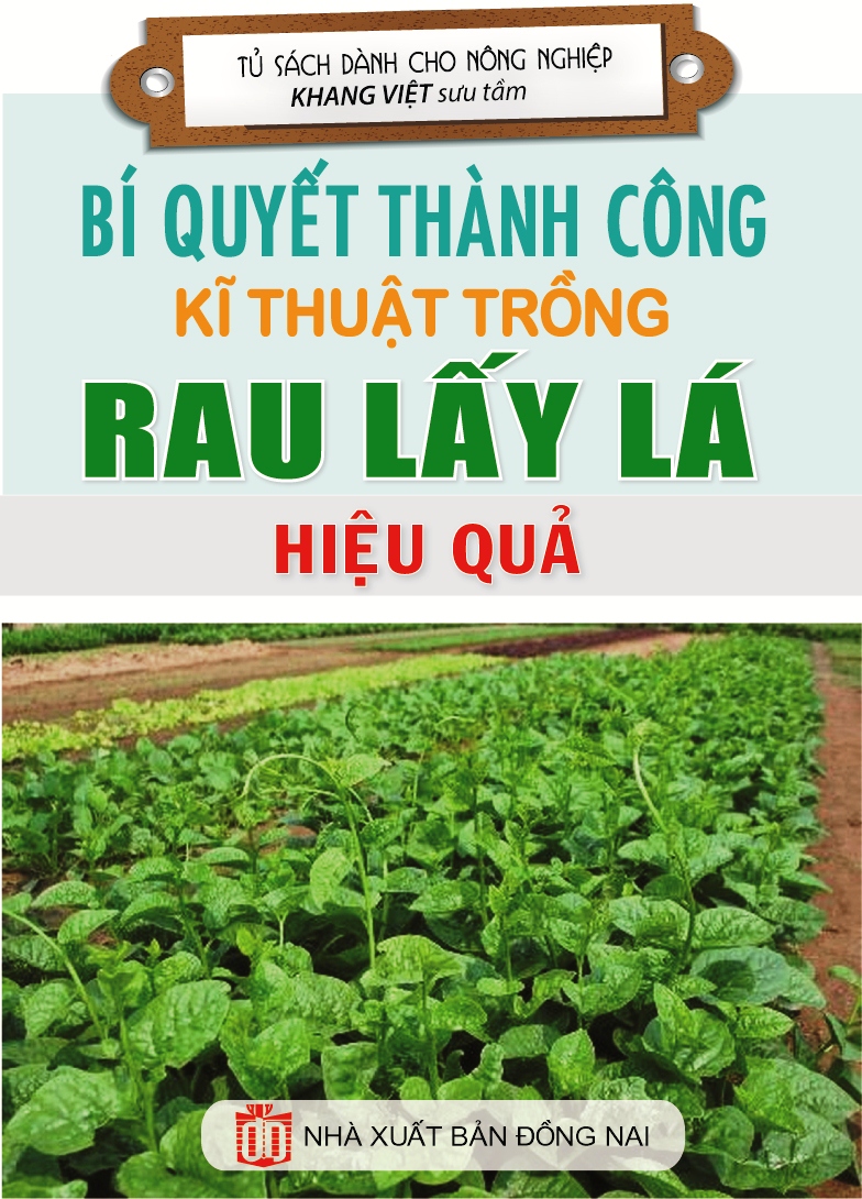 Bí Quyết Thành Công Kĩ Thuật Trồng Rau Lấy Lá Hiệu Quả