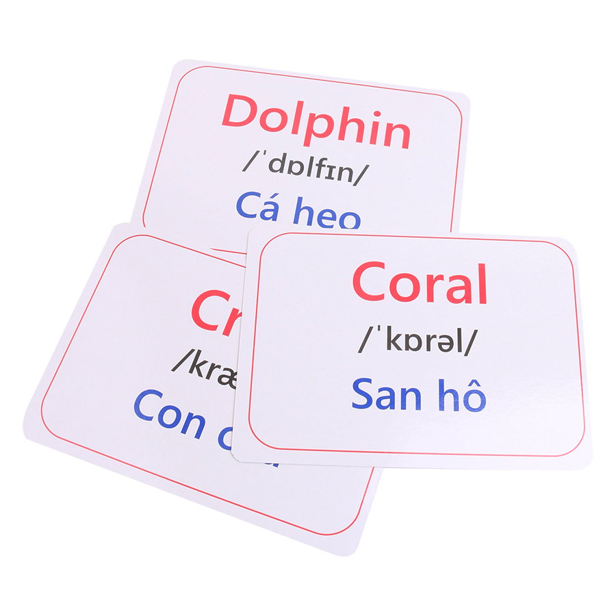 Flash Card Thông Minh - Động Vật Biển