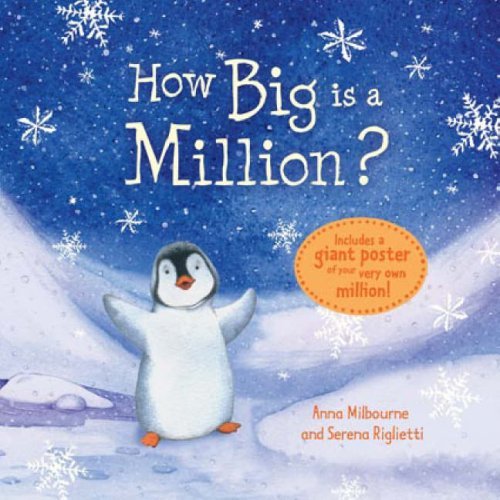 Usborne How Big is a Million?