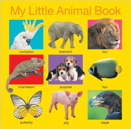 My Little Animal Book