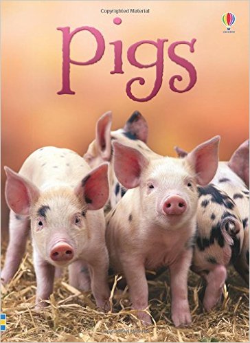 [Hàng thanh lý miễn đổi trả] Usborne Pigs